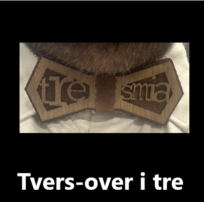 Tversoversløyfe